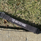 Martial Arts Dog Collars